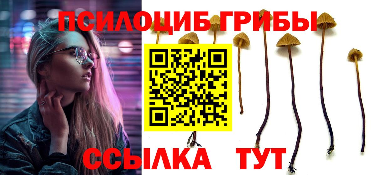 Севастополь  Галлюциногенные грибы MAGIC MUSHROOMS  Вход с VPN 